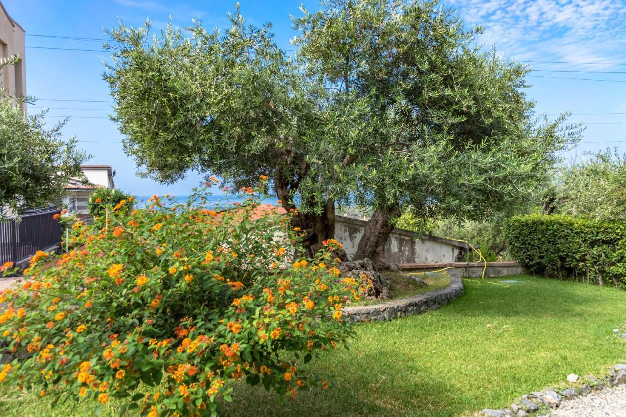 B&B Villa Degli Ulivi Прая-а-Маре Экстерьер фото