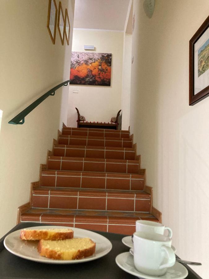 B&B Villa Degli Ulivi Прая-а-Маре Экстерьер фото